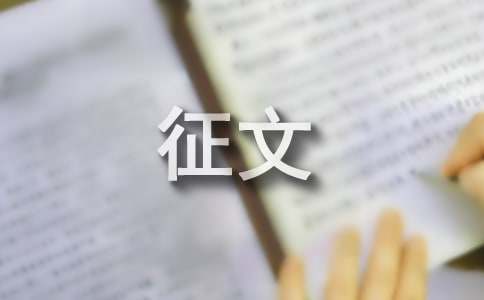 筑夢(mèng)路上優(yōu)秀征文900字