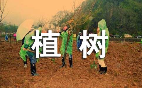 關(guān)于小學(xué)生植樹作文300字十篇