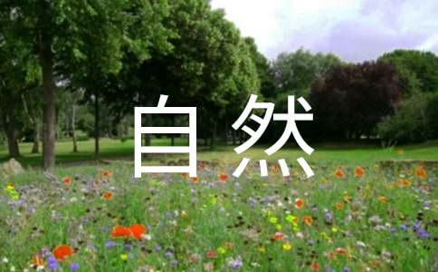 聆聽(tīng)大自然的傾訴作文400字