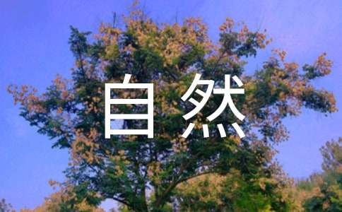 大自然的呻吟_650字