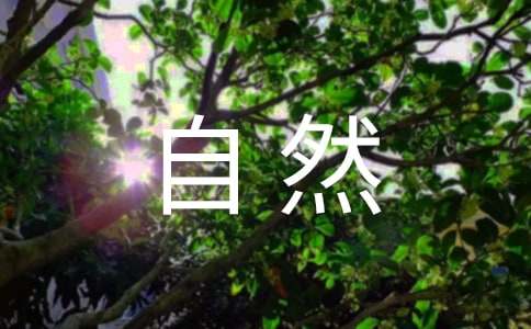 大自然的旅行作文