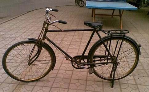 第一次學(xué)騎自行車作文(10篇)