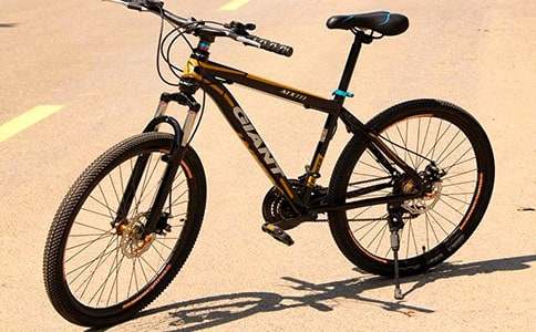 學(xué)騎自行車600字作文5篇