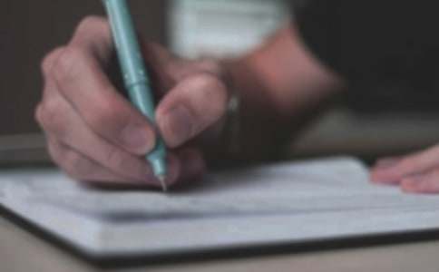 有關于貓的作文500字