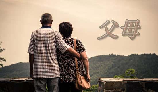 愛父母的作文5篇【推薦】