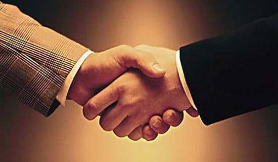 關(guān)于團(tuán)隊合作作文匯總七篇