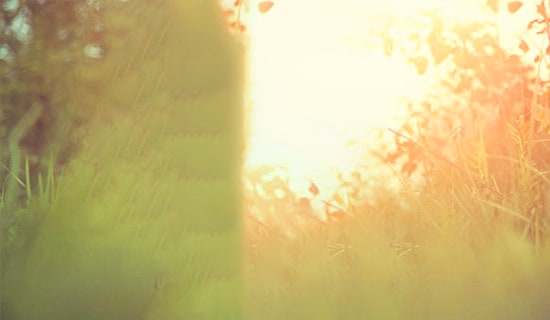 經(jīng)典一句話唯美心語30句精選