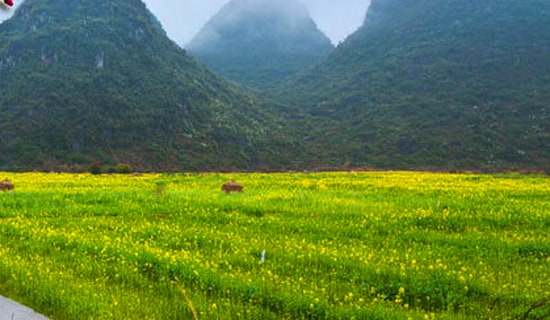 快樂的春游作文300字3篇